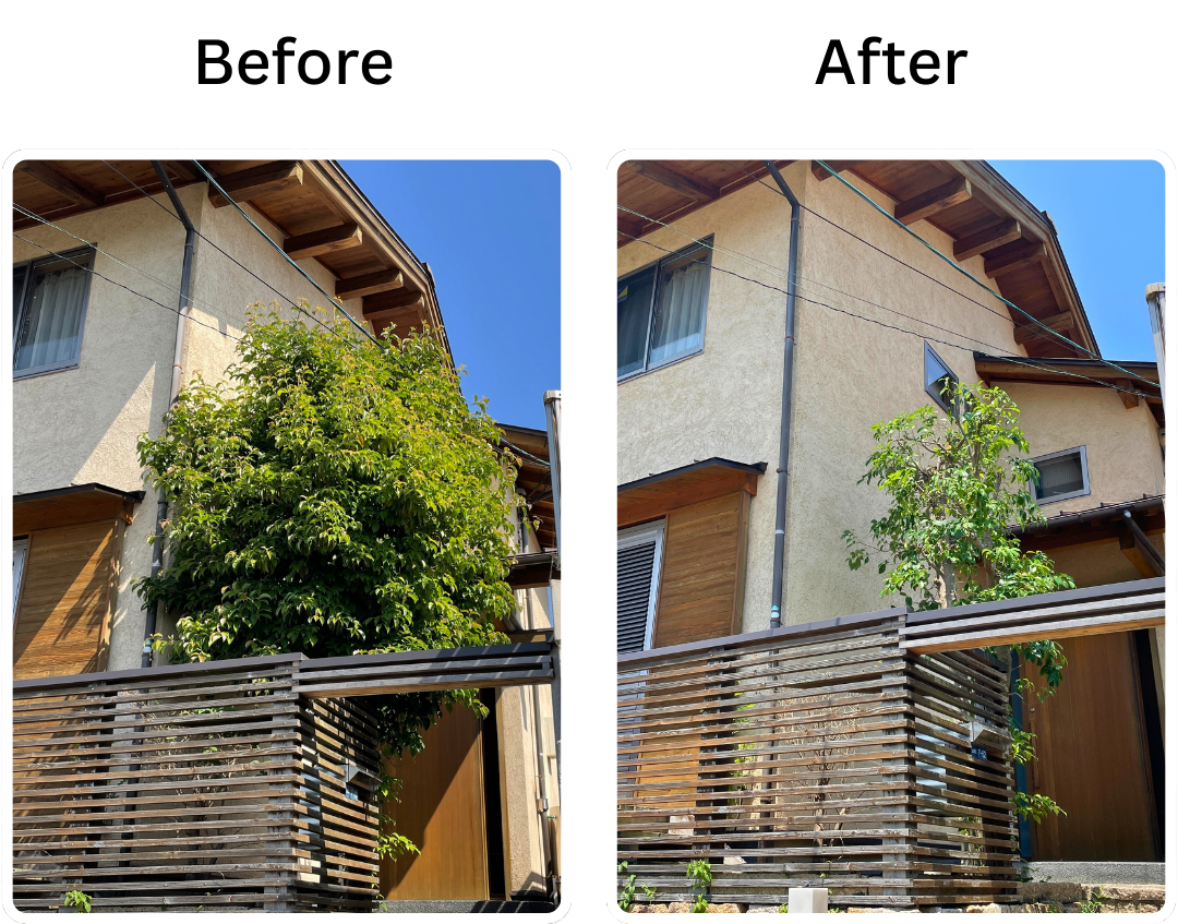 施工前後の比較1