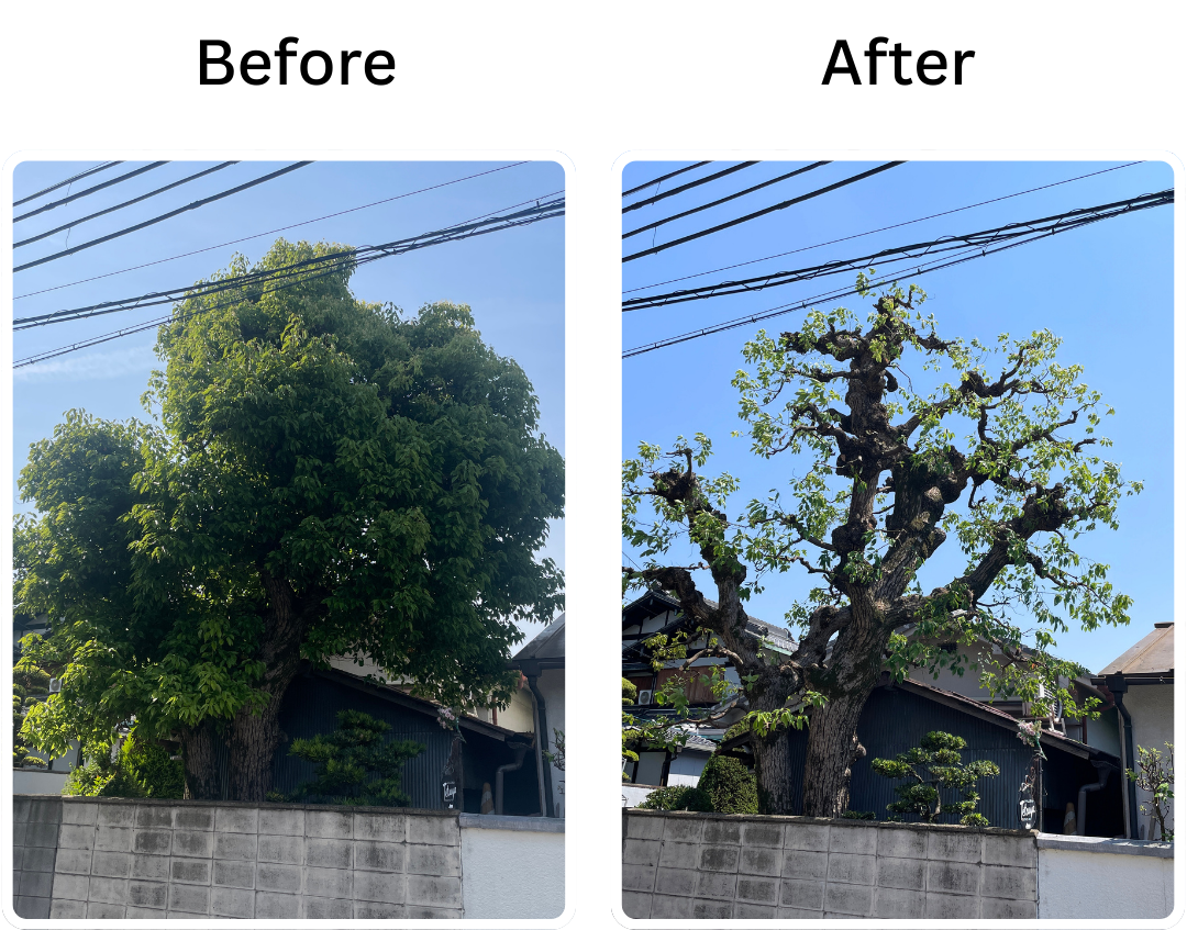 施工前後の比較2