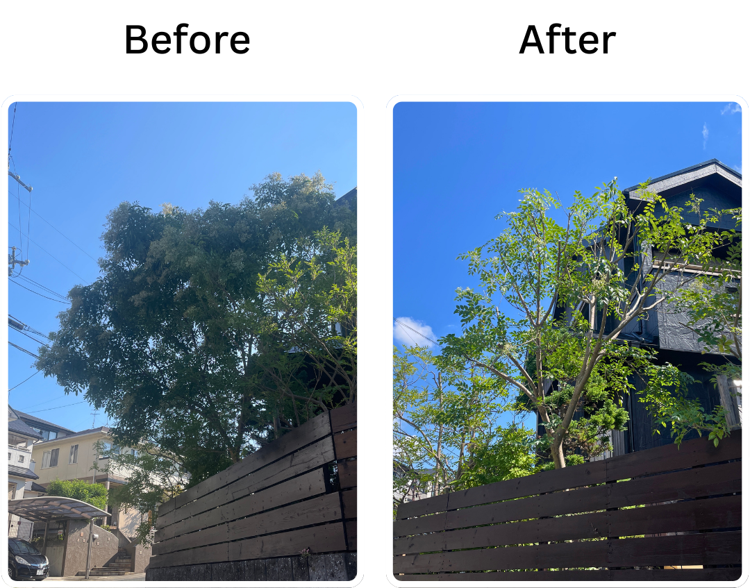 施工前後の比較3