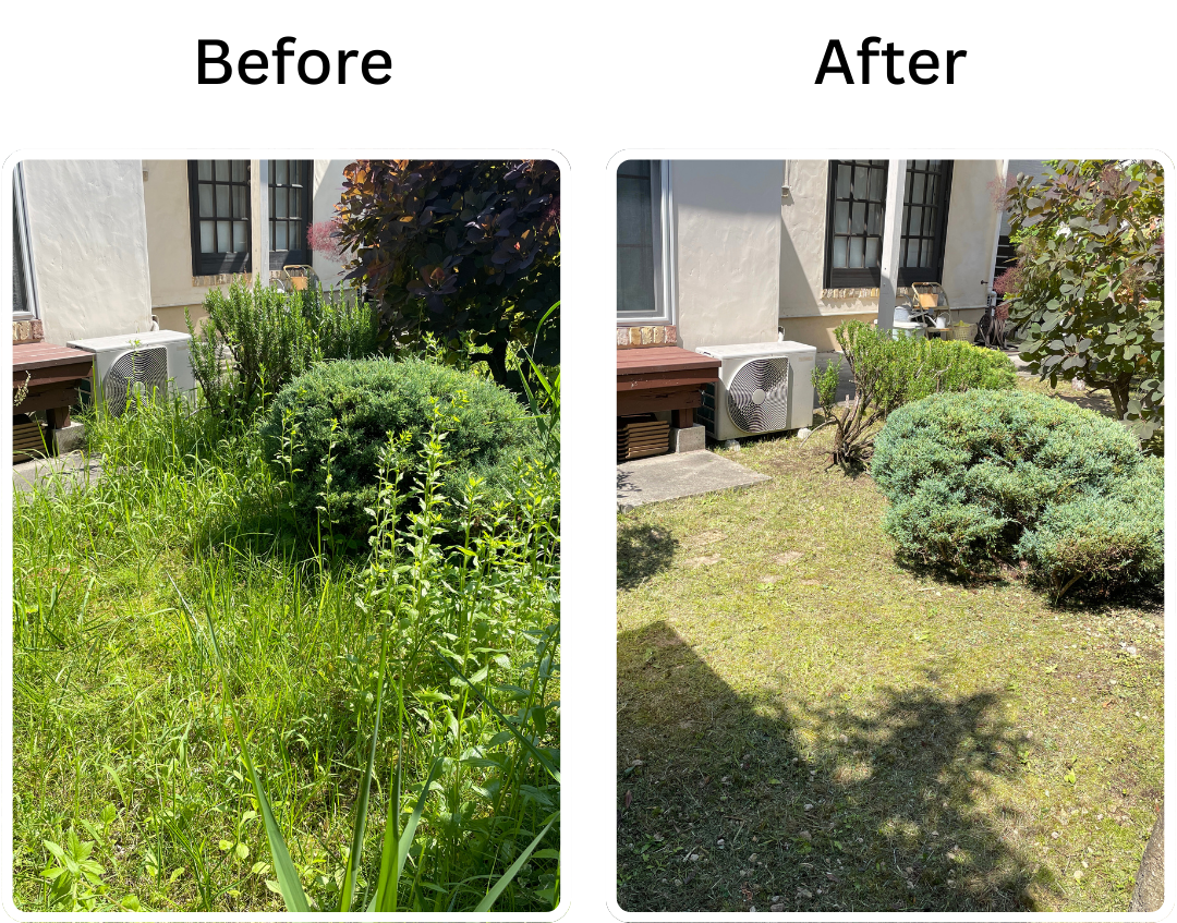 施工前後の比較4